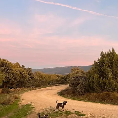 Casa Menta Feriehus *