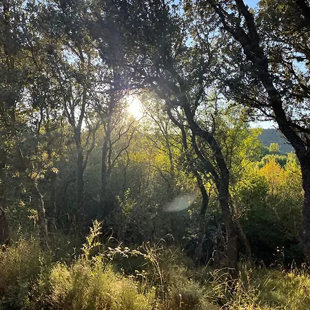 Feriehus Casa Menta *